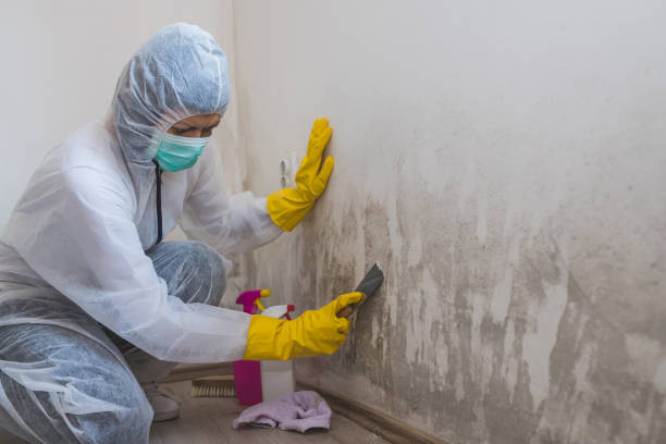 Crawl Space Mold Removal in Trooper, PA