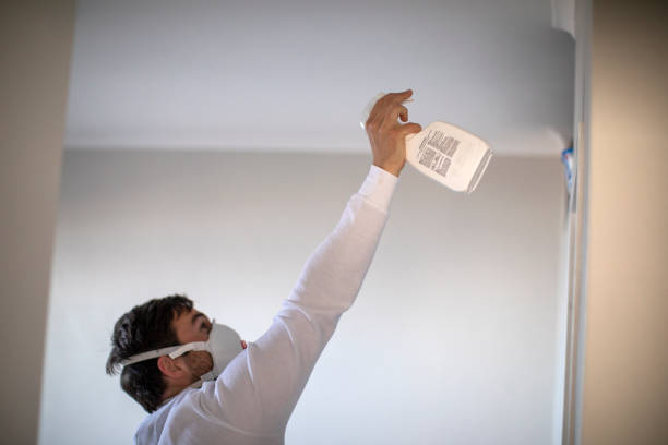 Best Certified Mold Removal  in Trooper, PA