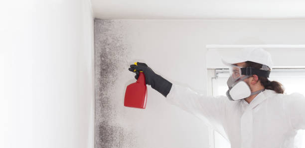Best Crawl Space Mold Removal  in Trooper, PA