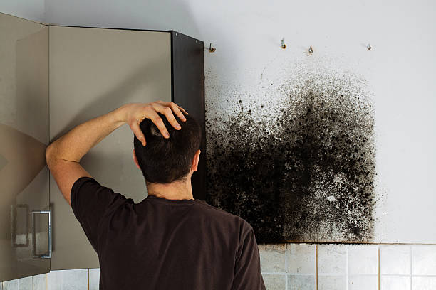 Best Attic Mold Removal  in Trooper, PA